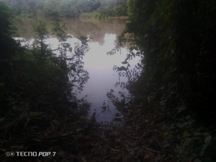 Tumani Fatty crossing